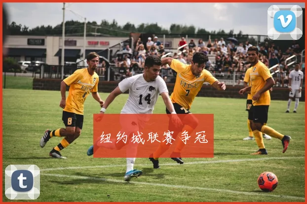 纽约城联赛争冠