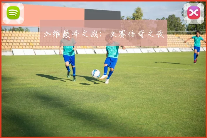 加维巅峰之战：决赛传奇之夜