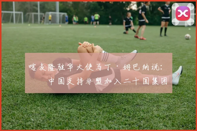 喀麦隆驻华大使马丁·姆巴纳说：“中国支持非盟加入二十国集团
