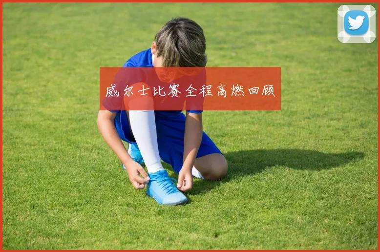 威尔士比赛全程高燃回顾