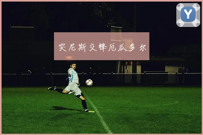 突尼斯交锋厄瓜多尔