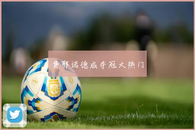 费耶诺德成夺冠大热门