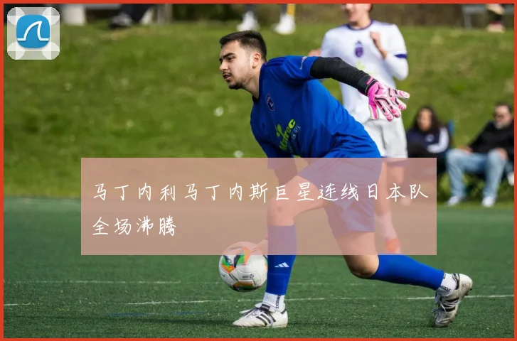 马丁内利马丁内斯巨星连线日本队全场沸腾