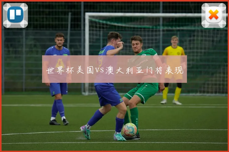 世界杯美国vs澳大利亚门将表现