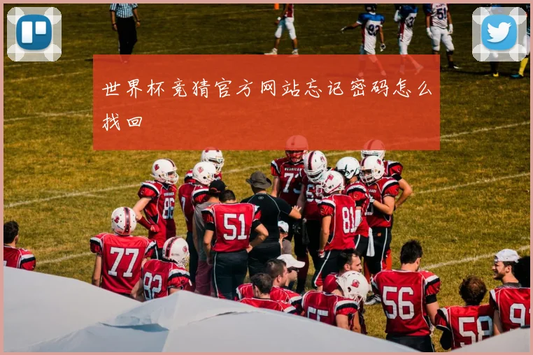 世界杯竞猜官方网站忘记密码怎么找回