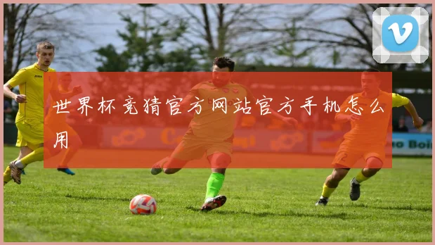 世界杯竞猜官方网站官方手机怎么用