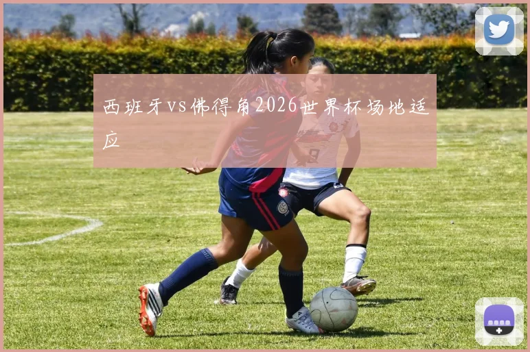 西班牙vs佛得角2026世界杯场地适应