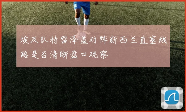 埃及队特雷泽盖对阵新西兰直塞线路是否清晰盘口观察