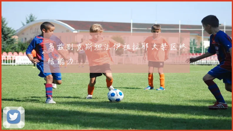 乌兹别克斯坦法伊祖拉耶夫禁区终结能力
